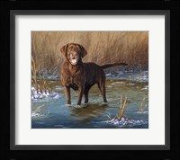 Top Dog Fine Art Print