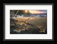 Walleye In The Wood Fine Art Print
