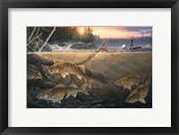 Walleye In The Wood Fine Art Print