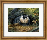 Wisconsin Badger Fine Art Print