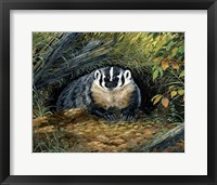 Wisconsin Badger Fine Art Print