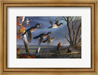 Woodies On The Wing Fine Art Print