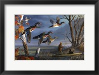 Woodies On The Wing Fine Art Print