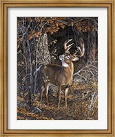 Deer Nibble Fine Art Print