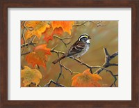 Whitethroated Sparrow Fine Art Print