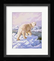 Polar Bear Fine Art Print