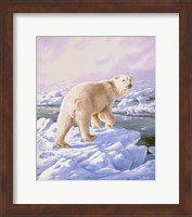 Polar Bear Fine Art Print