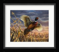 Royal Flush Fine Art Print