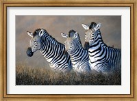 Protecting The Foal Fine Art Print