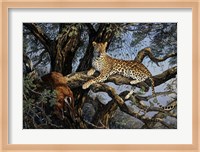 Leopard Fine Art Print