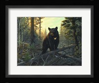 Black Magic Fine Art Print