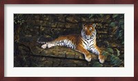 Temple Tigress Fine Art Print