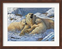 Snow Bears Fine Art Print