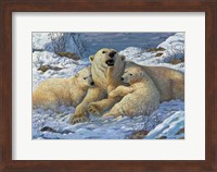 Snow Bears Fine Art Print