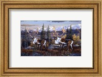 Caribou Fine Art Print