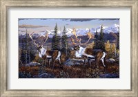 Caribou Fine Art Print