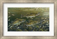 Reef Runners Fine Art Print