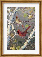 Cardinals In Birch Fine Art Print