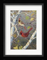 Cardinals In Birch Fine Art Print
