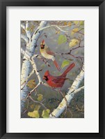 Cardinals In Birch Framed Print