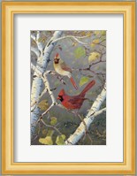 Cardinals In Birch Fine Art Print
