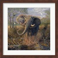 Angry Tusker Fine Art Print
