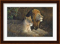 Lions Domain Fine Art Print