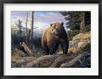 Mountain Winds Grizzly Fine Art Print