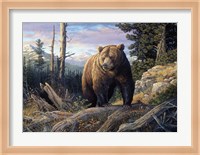Mountain Winds Grizzly Fine Art Print