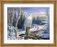 Whispering Ridge Snowy Owl Fine Art Print