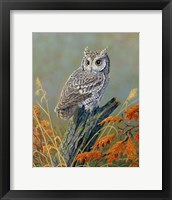 Bright Eyes Screech Owl Fine Art Print