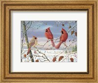 First Snow Cardinals Fine Art Print