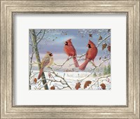 First Snow Cardinals Fine Art Print