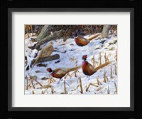 Ringneck Rendezvous Fine Art Print