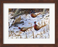 Ringneck Rendezvous Fine Art Print