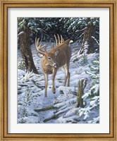 Winter Encounter Fine Art Print