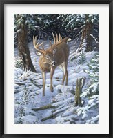Winter Encounter Fine Art Print