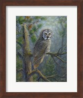 Gray Dawn Owl Fine Art Print