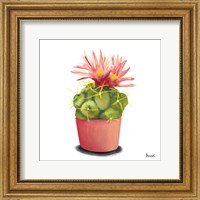 Cactus Flowers I Fine Art Print
