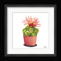 Cactus Flowers I Framed Print