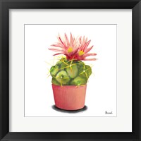 Cactus Flowers I Framed Print