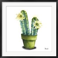 Cactus Flowers II Fine Art Print