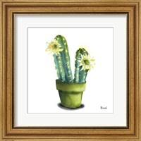 Cactus Flowers II Fine Art Print
