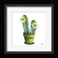 Cactus Flowers II Framed Print