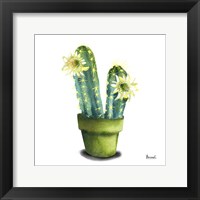 Cactus Flowers II Framed Print