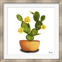 Cactus Flowers III Fine Art Print