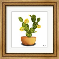 Cactus Flowers III Fine Art Print