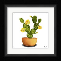 Cactus Flowers III Framed Print