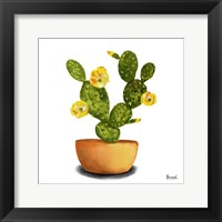 Cactus Flowers III Framed Print