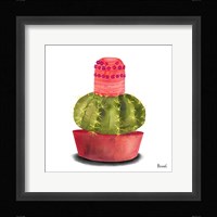 Cactus Flowers IV Framed Print